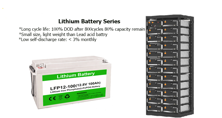 Lithium Ion Battery 12v 24v 48v